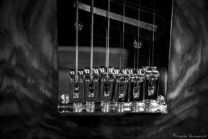 Blues Made In Italy 016