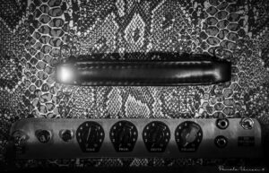 Blues Made In Italy 019