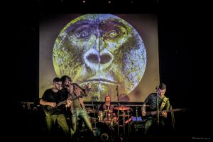 Terramadre Tana Luppolo 33