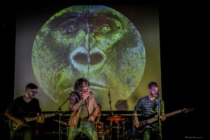 Terramadre Tana Luppolo 34