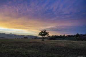 Foto Emozionale Paesaggio 01