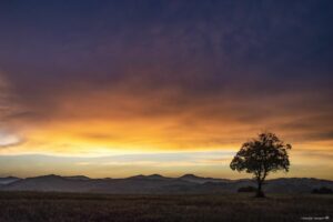 Foto Emozionale Paesaggio 02