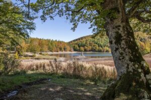 Foto Emozionale Paesaggio 03