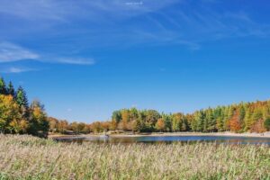 Foto Emozionale Paesaggio 04