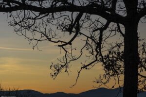 Foto Emozionale Paesaggio 09