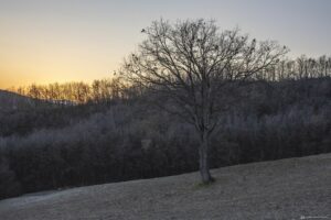 Foto Emozionale Paesaggio 10