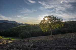 Foto Emozionale Paesaggio 11