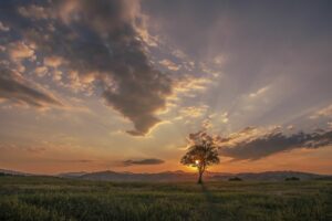 Foto Emozionale Paesaggio 15