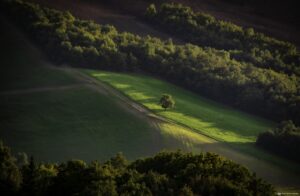 Foto Emozionale Paesaggio 16