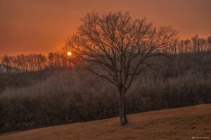 Foto Emozionale Paesaggio 17