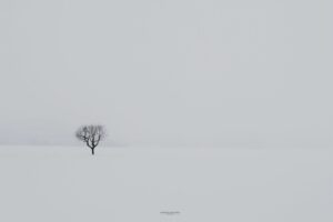 Foto Emozionale Paesaggio 20