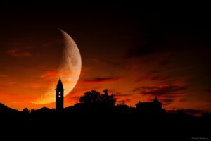 Foto Macro Closeup 09